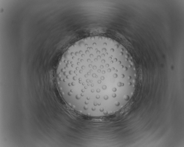 X0000074340519200608251048