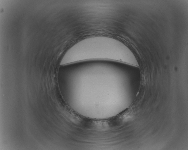 X0000074340520200608251048