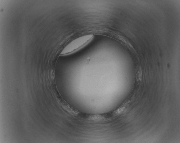 X0000074340521200608251048