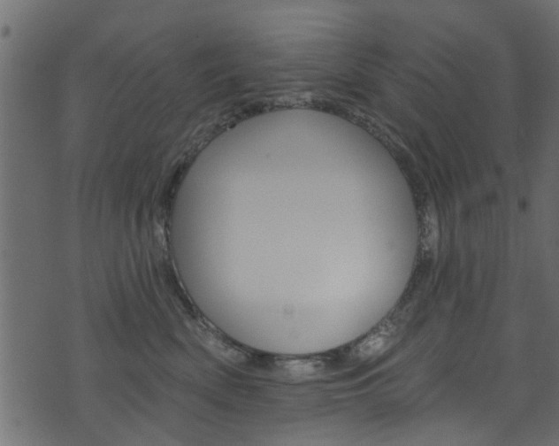 X0000074340522200608251048