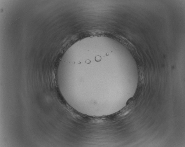 X0000074340523200608251048