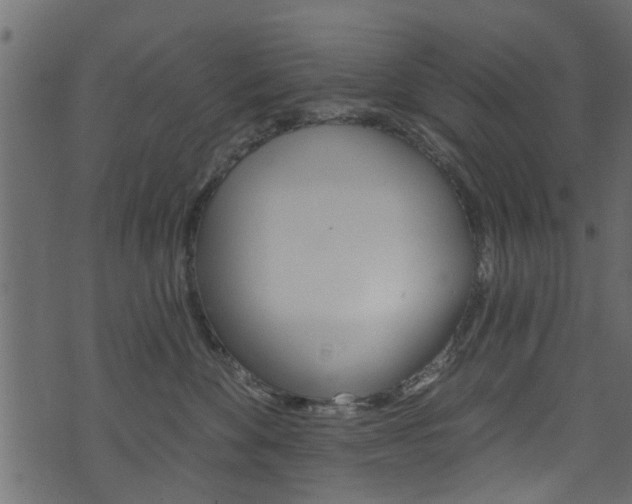 X0000074340524200608251048