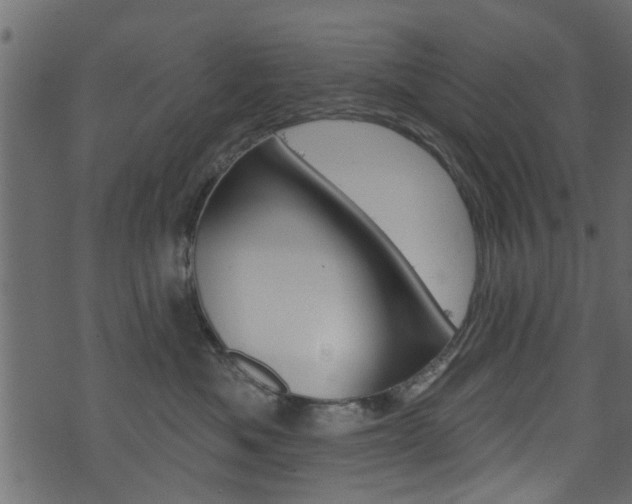 X0000074340525200608251048