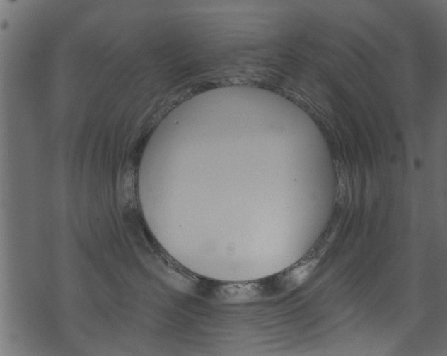 X0000074340526200608251048