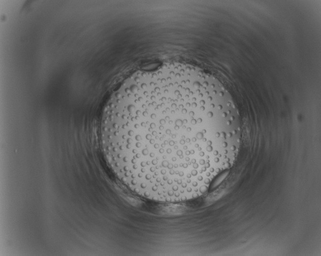 X0000074340527200608251048