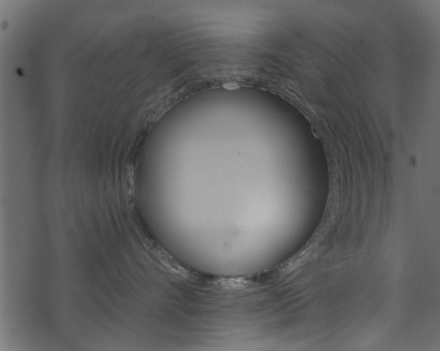 X0000074340528200608251048