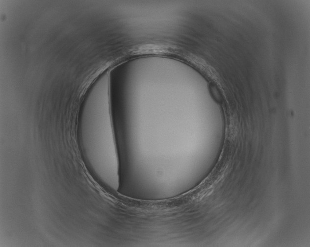 X0000074340529200608251047