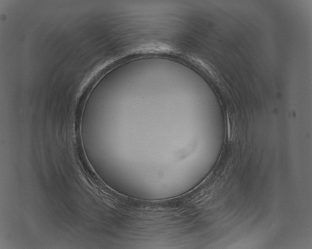 X0000074340531200608251047