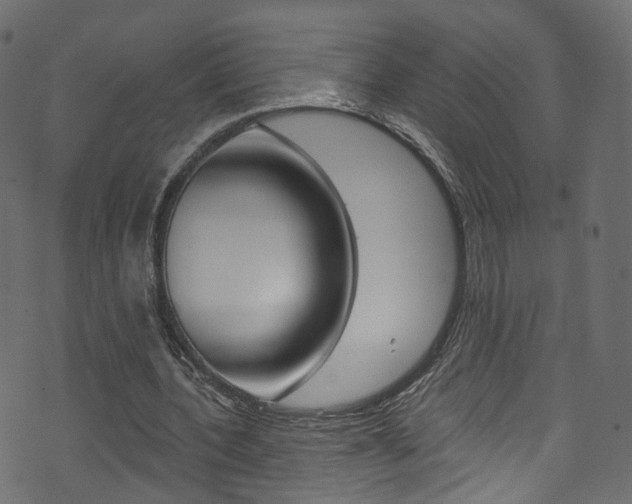 X0000074340532200608251048