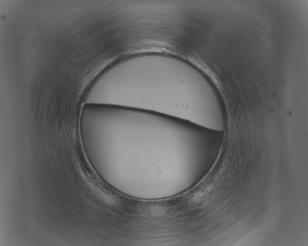 X0000074340533200608251048