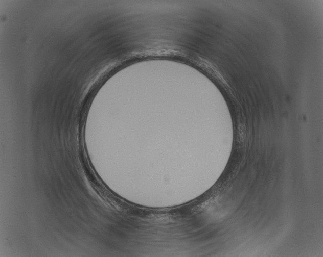 X0000074340534200608251048