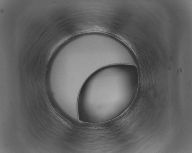 X0000074340535200608251048