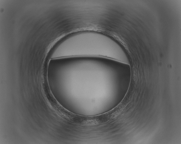 X0000074340536200608251048