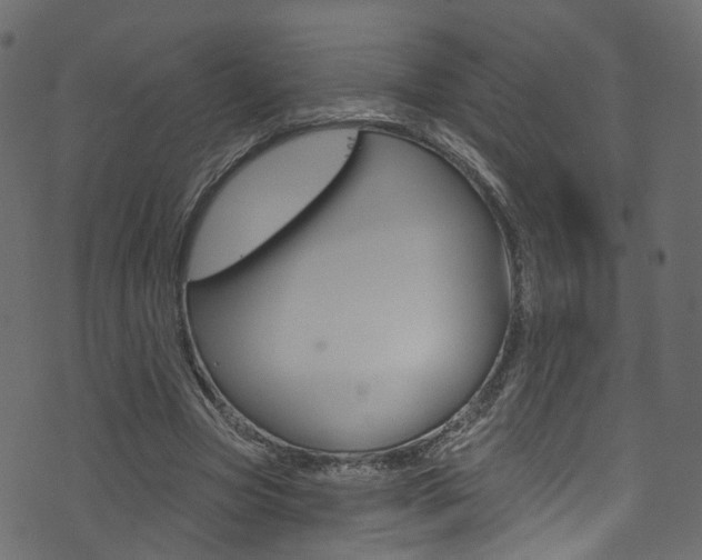 X0000074340537200608251048