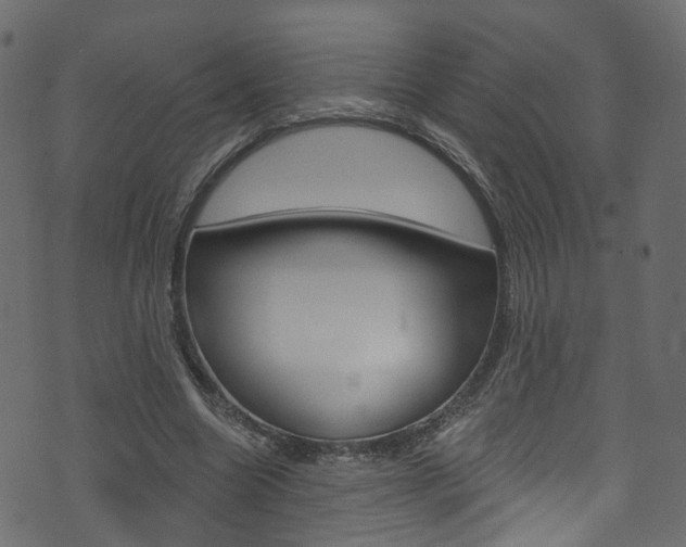 X0000074340538200608251048