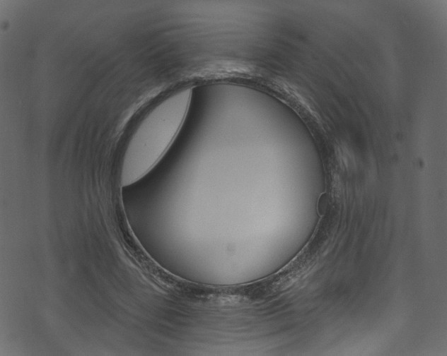 X0000074340539200608251048