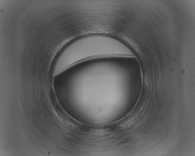 X0000074340540200608251048