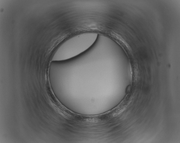 X0000074340541200608251048