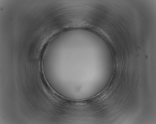 X0000074340542200608251048