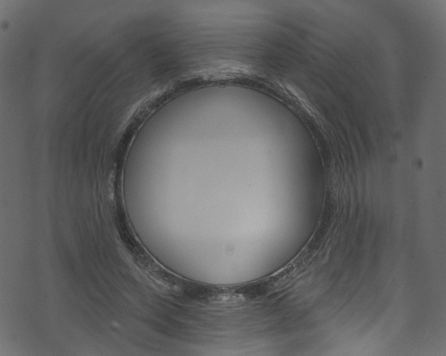 X0000074340543200608251048