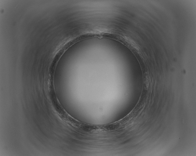 X0000074340544200608251048