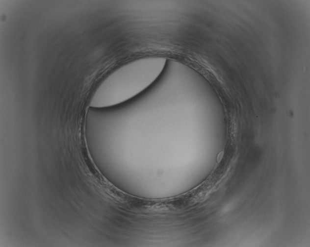 X0000074340545200608251048