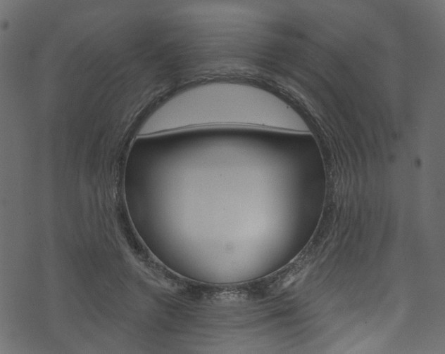 X0000074340546200608251048