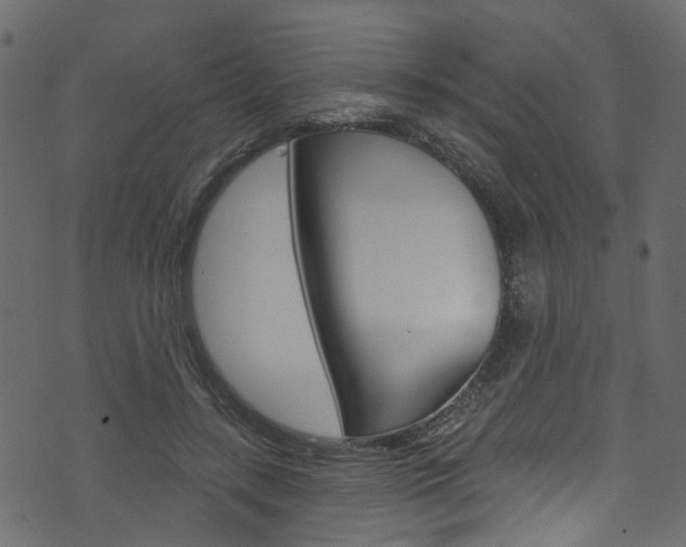 X0000074340547200608251048