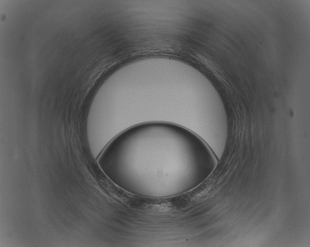 X0000074340548200608251048