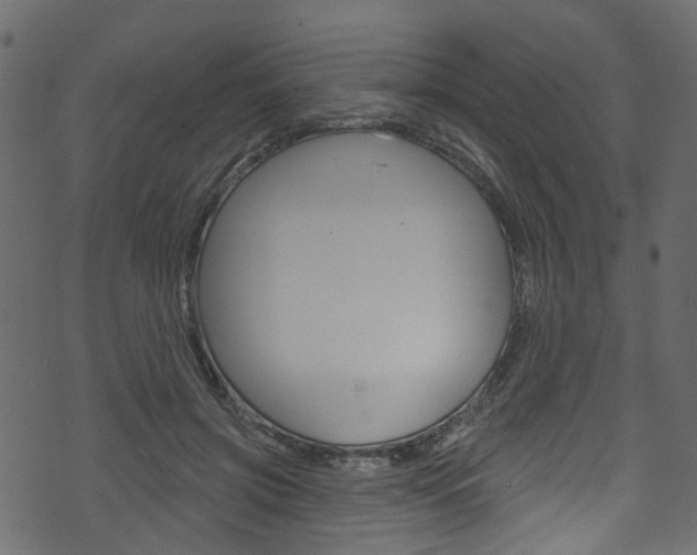 X0000074340549200608251048