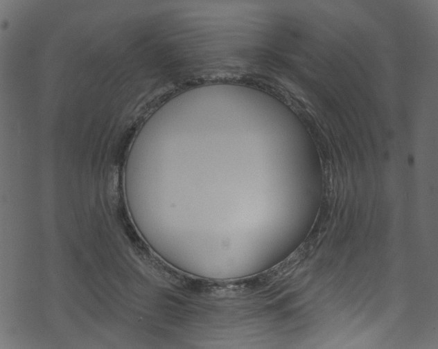 X0000074340550200608251048