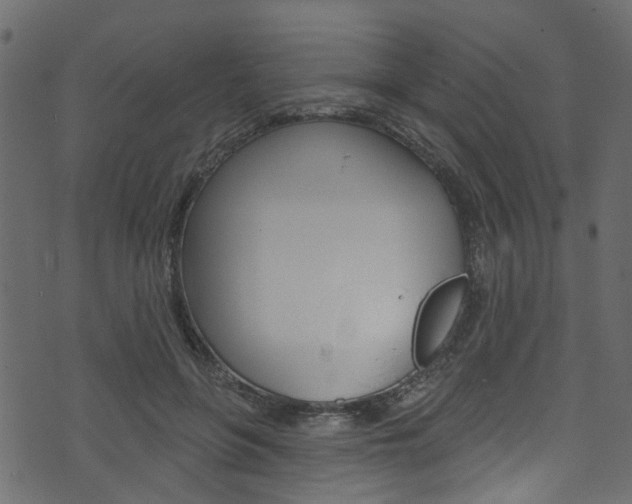 X0000074340551200608251048