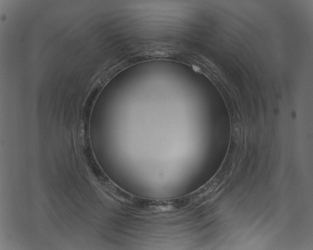 X0000074340552200608251048