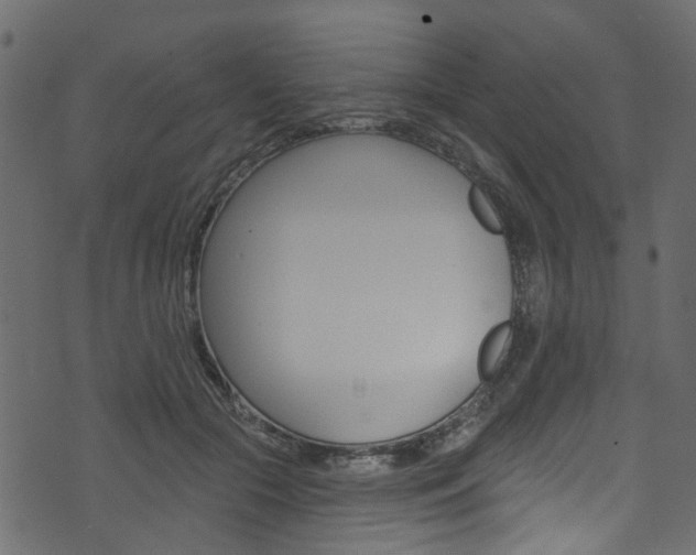 X0000074340553200608251048