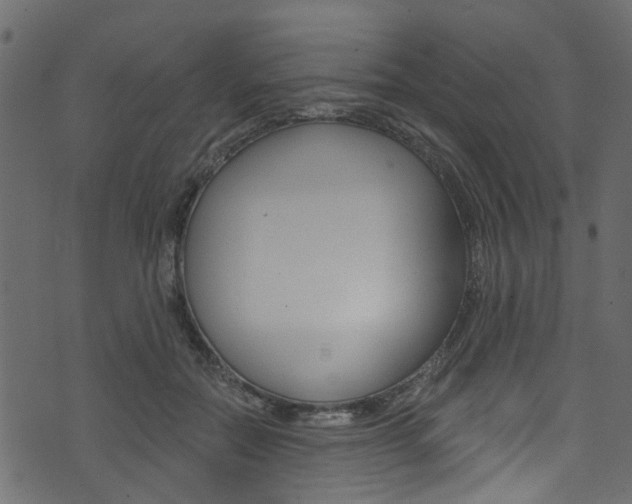 X0000074340554200608251048