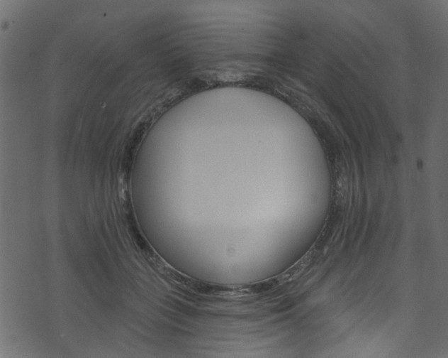 X0000074340555200608251048