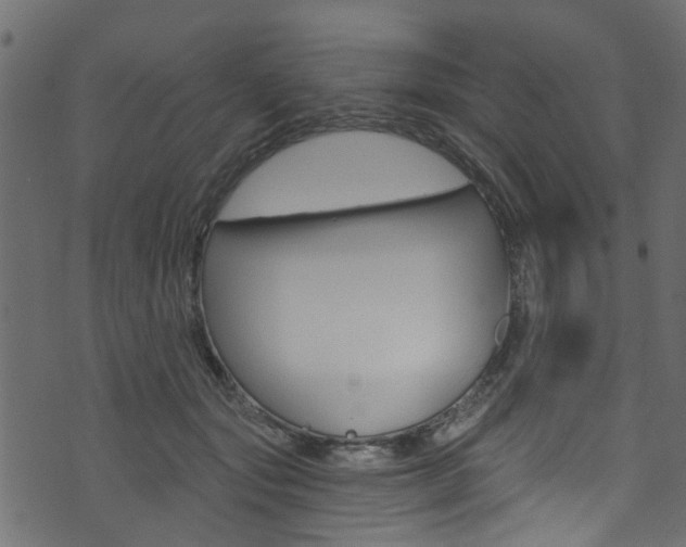 X0000074340557200608251048