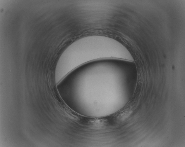 X0000074340558200608251048