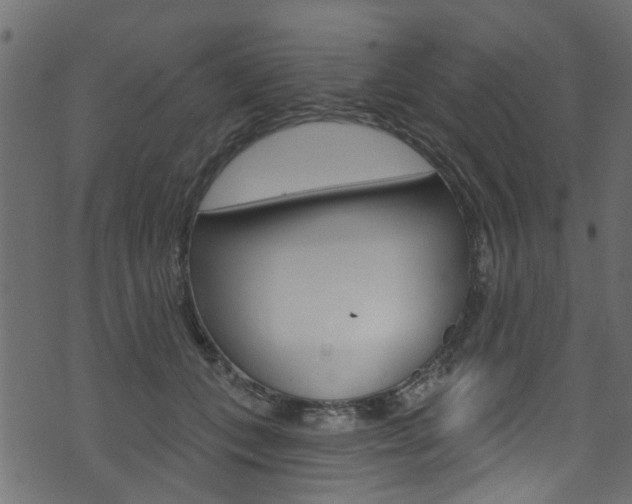 X0000074340559200608251048