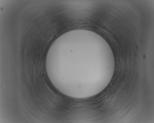 X0000074340560200608251048