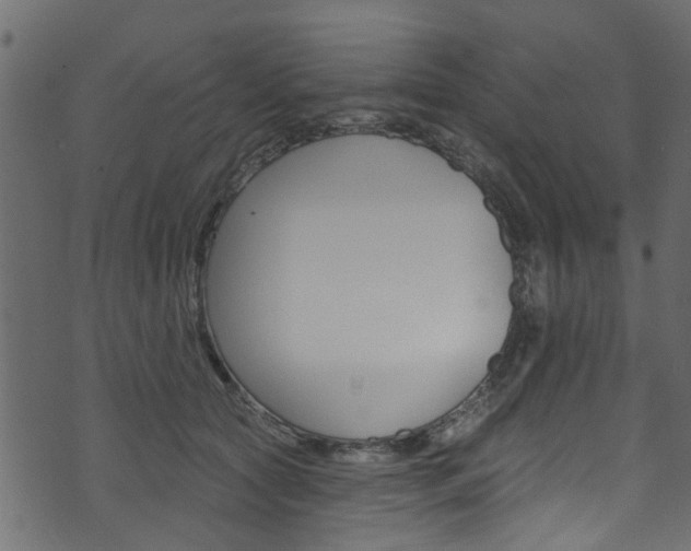 X0000074340561200608251048