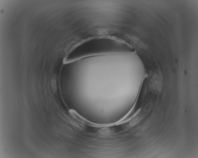 X0000074340562200608251048