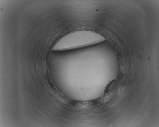 X0000074340563200608251048