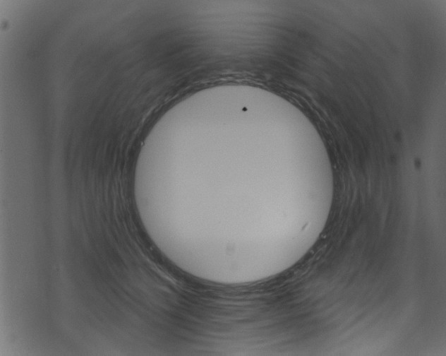 X0000074340564200608251048