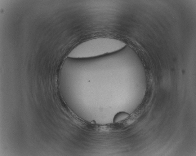 X0000074340565200608251048