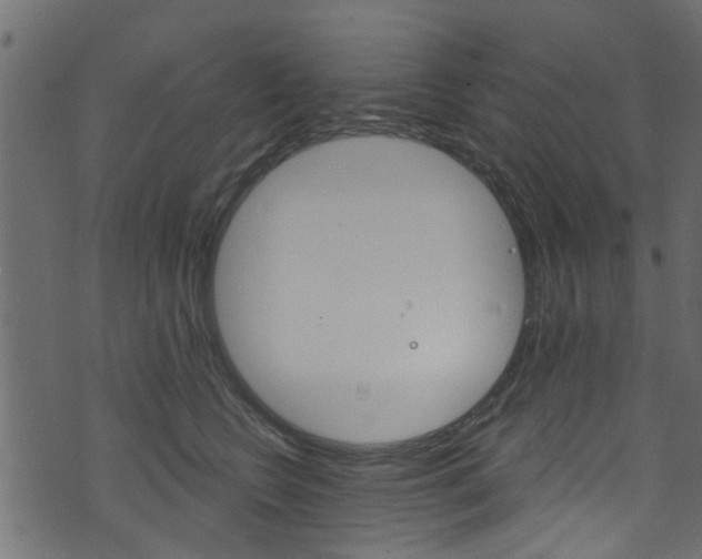 X0000074340566200608251048