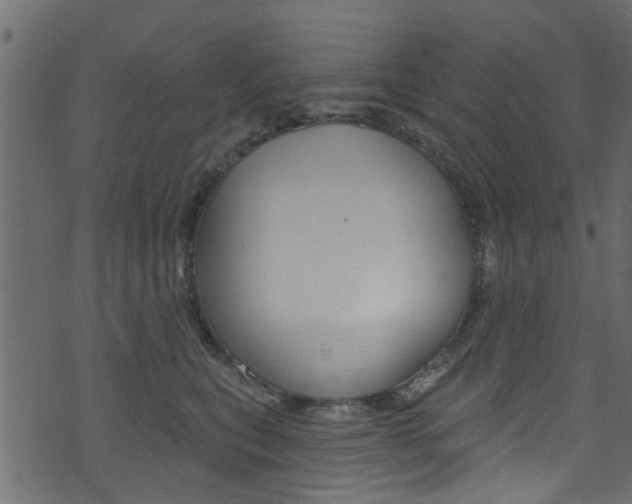 X0000074340567200608251048