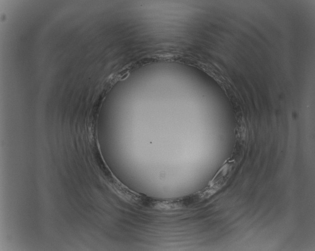 X0000074340568200608251048