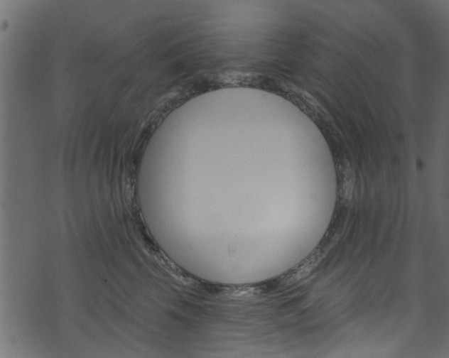 X0000074340569200608251048