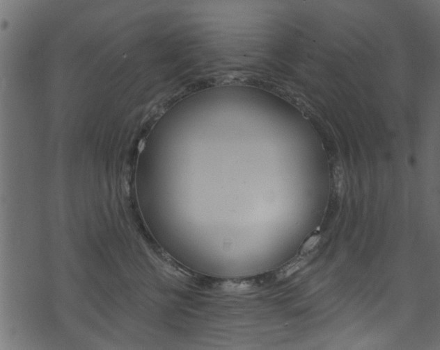 X0000074340570200608251048